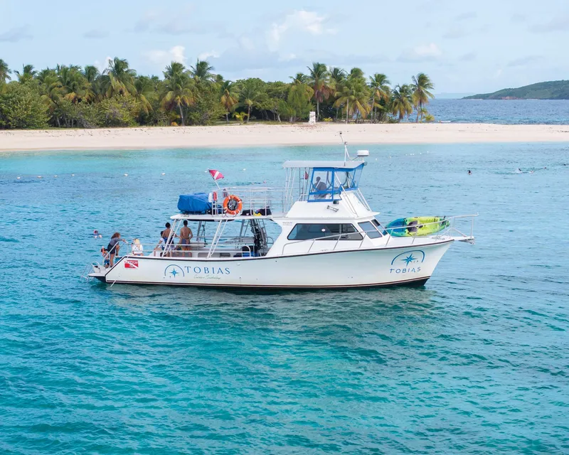 Snorkelers in turquoise water near Icacos Island on an inclusive boat trip from Fajardo, Puerto Rico